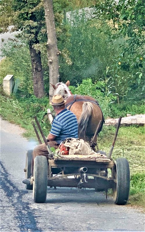 Carretas en Maramures, Rumanía