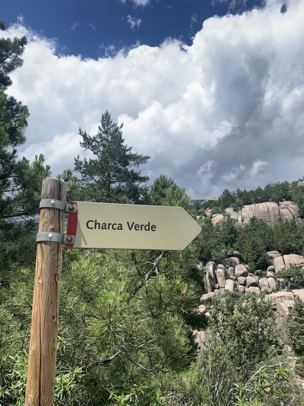 La Charca Verde, La Pedriza