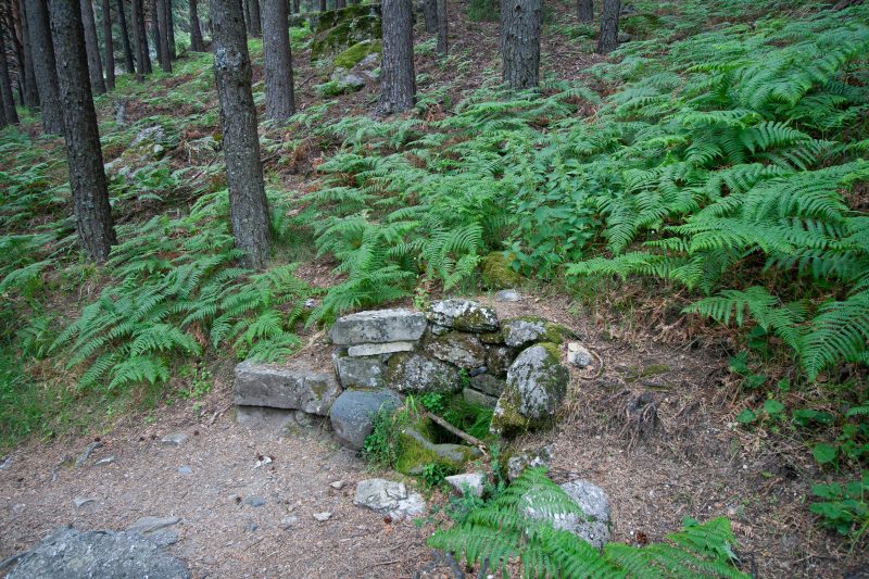 Fuente ruta Chorreras del Manzanares, La Pedriza