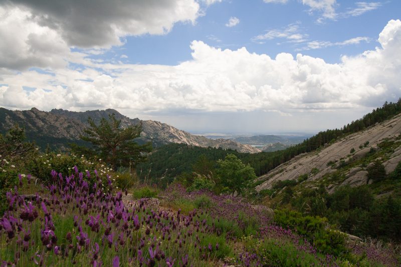 Primavera en la ruta de los Chorros del Manzanares