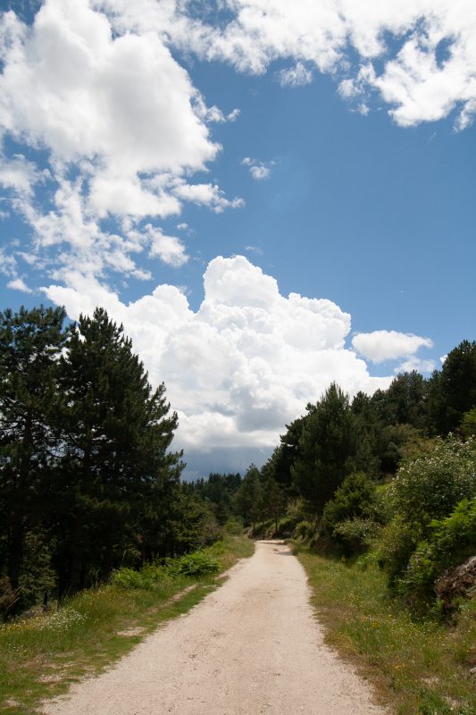 Ultimo tramo de la ruta a la Charca Verde 