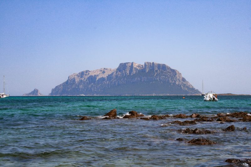 Isla de Tavolara, Cerdeña