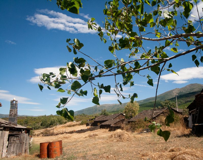 pueblos negros de guadalajara