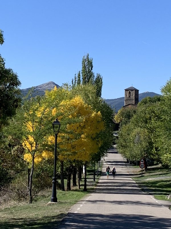 Campillo de ranas en Guadalajara