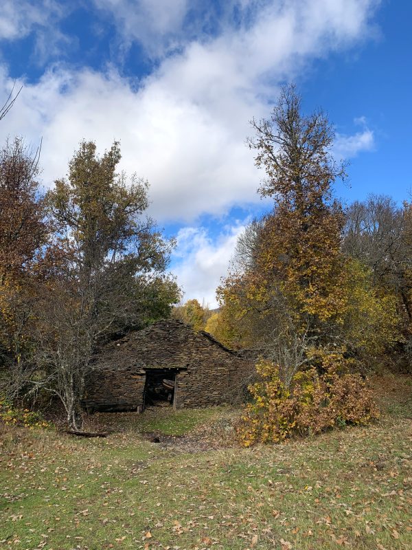 El molino de Majaelrayo