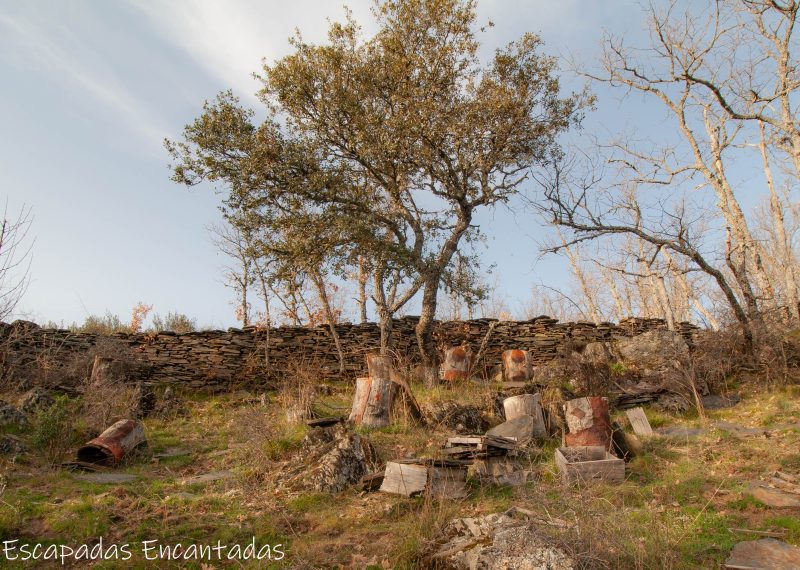 Tradiciones en pueblos negros