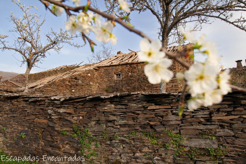 Casas de pizarra negra en Guadalajara