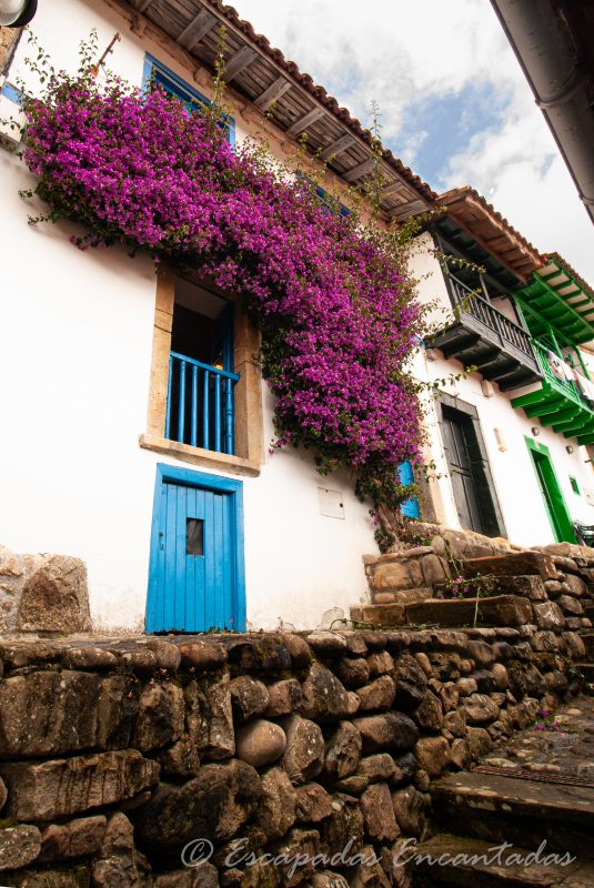 casas de colores tazones