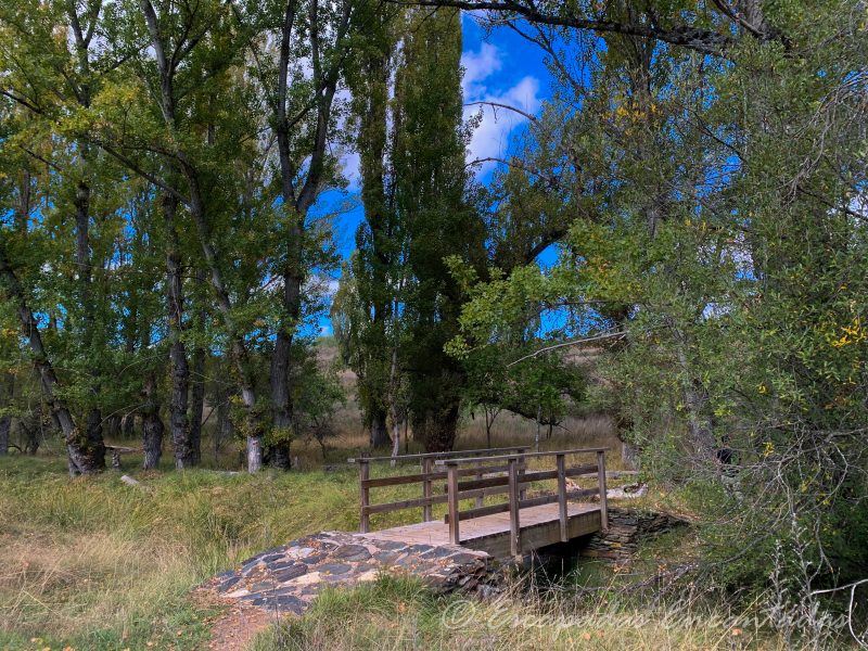 puente de Sacedoncillo 