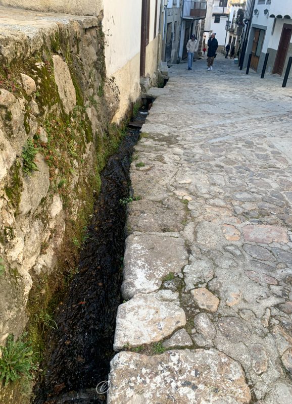 regaderas de Candelario