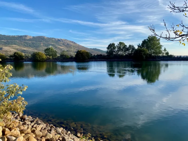 Laguna del Salobral