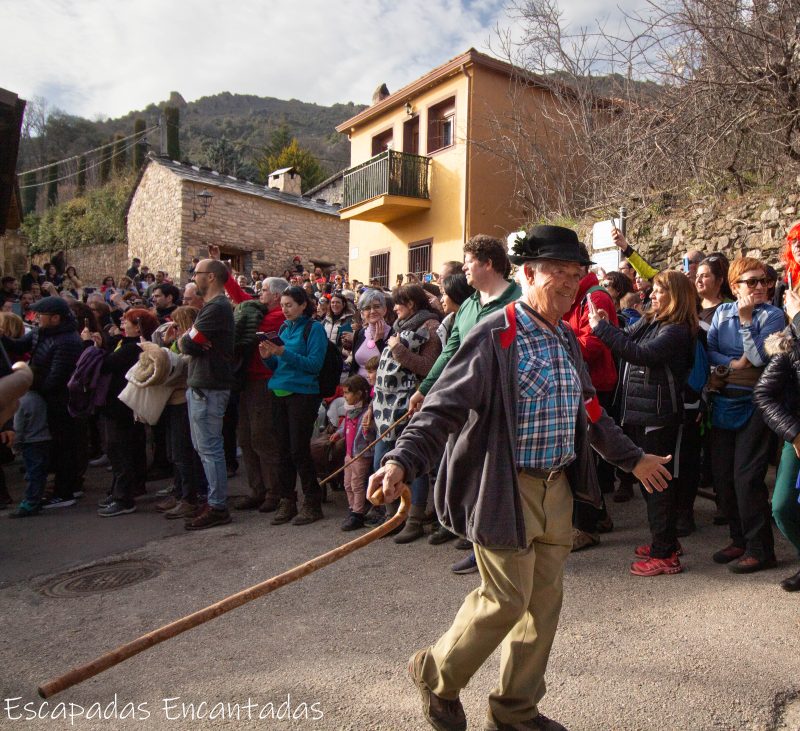 desfile Carnaval de Almiruete