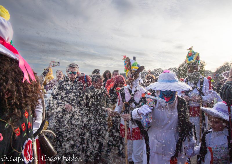 lanzamiento de pelusas carnaval de Almiruete