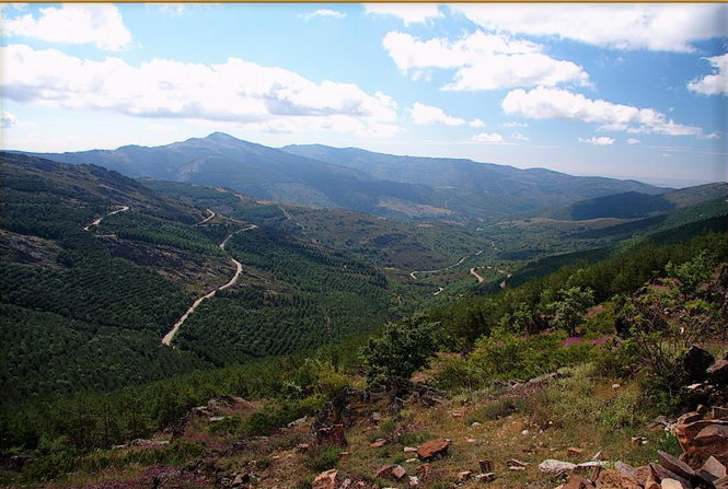 Puerto de la Puebla, Sierra del Rincón