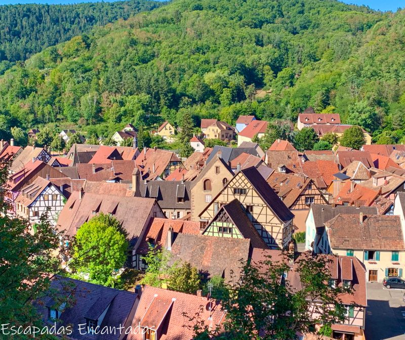 Vistas desde el castillo de Kaysesberg