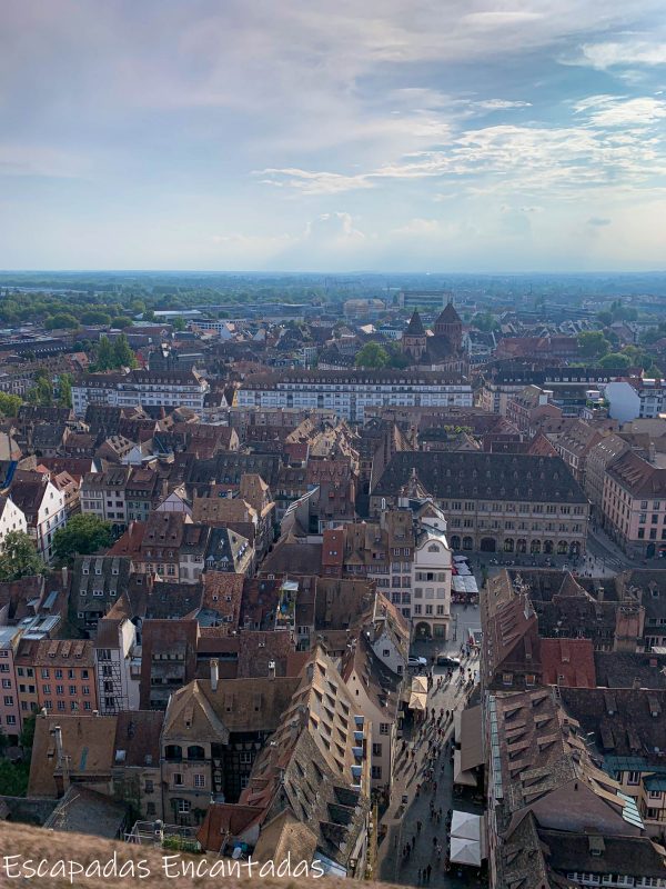 Estrasburgo desde Notre Dame