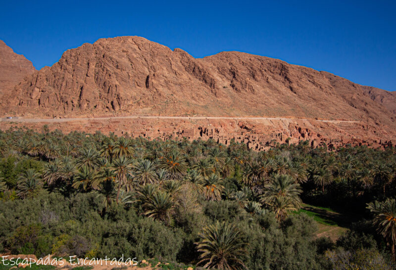 Palmeral de Tinerghir