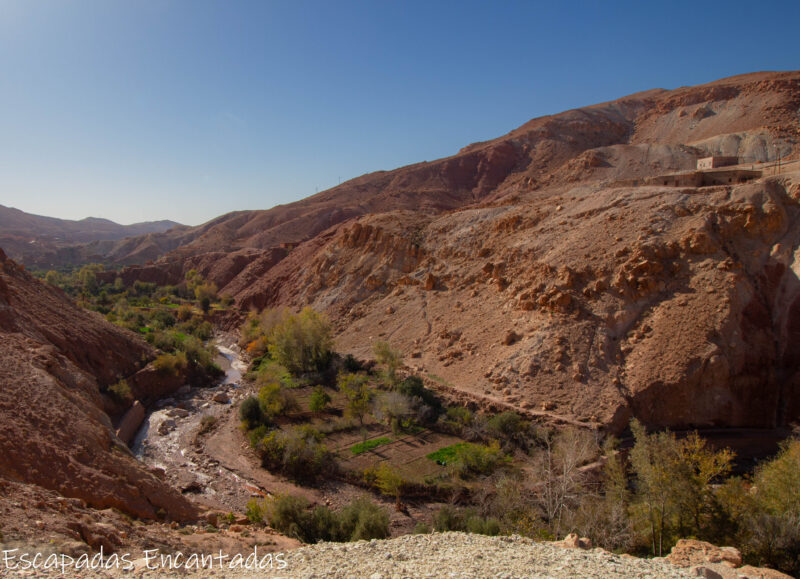 Oasis en valle de Ounila