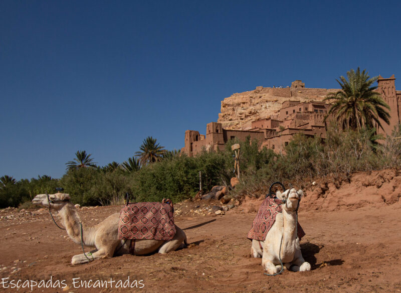 exterior Ksar Marruecos