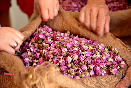 Destileria rosas Kelaa M´Gouna