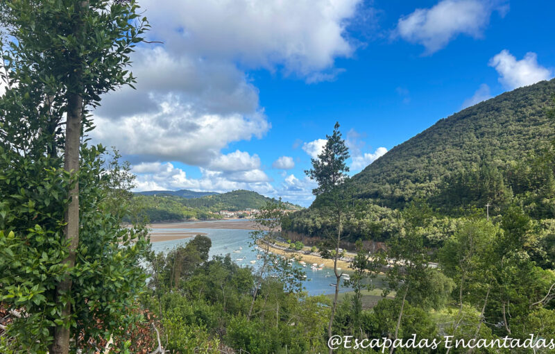 Estuario de ría de Oka, Urdaibai